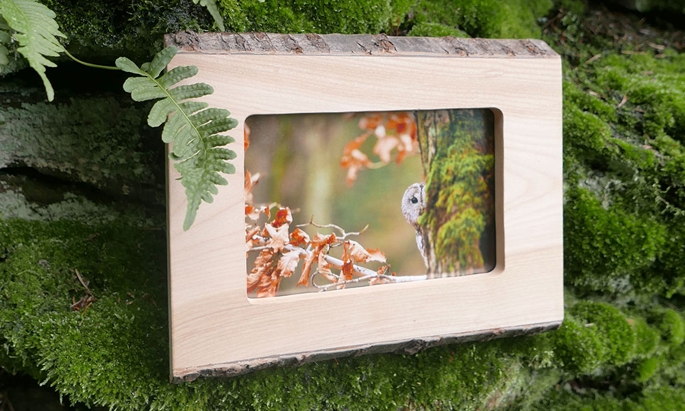 Waldfabrik Bilderrahmen aus Holz mit Rinde an einer bemoosten Felswand